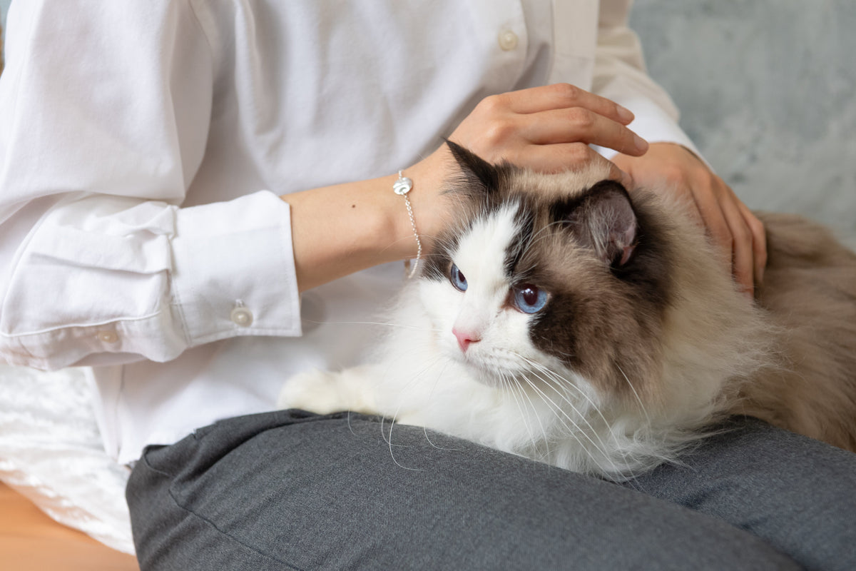 ペットロスを支える鼻紋ジュエリー|愛犬・愛猫のメモリアルに残す世界でひとつの証