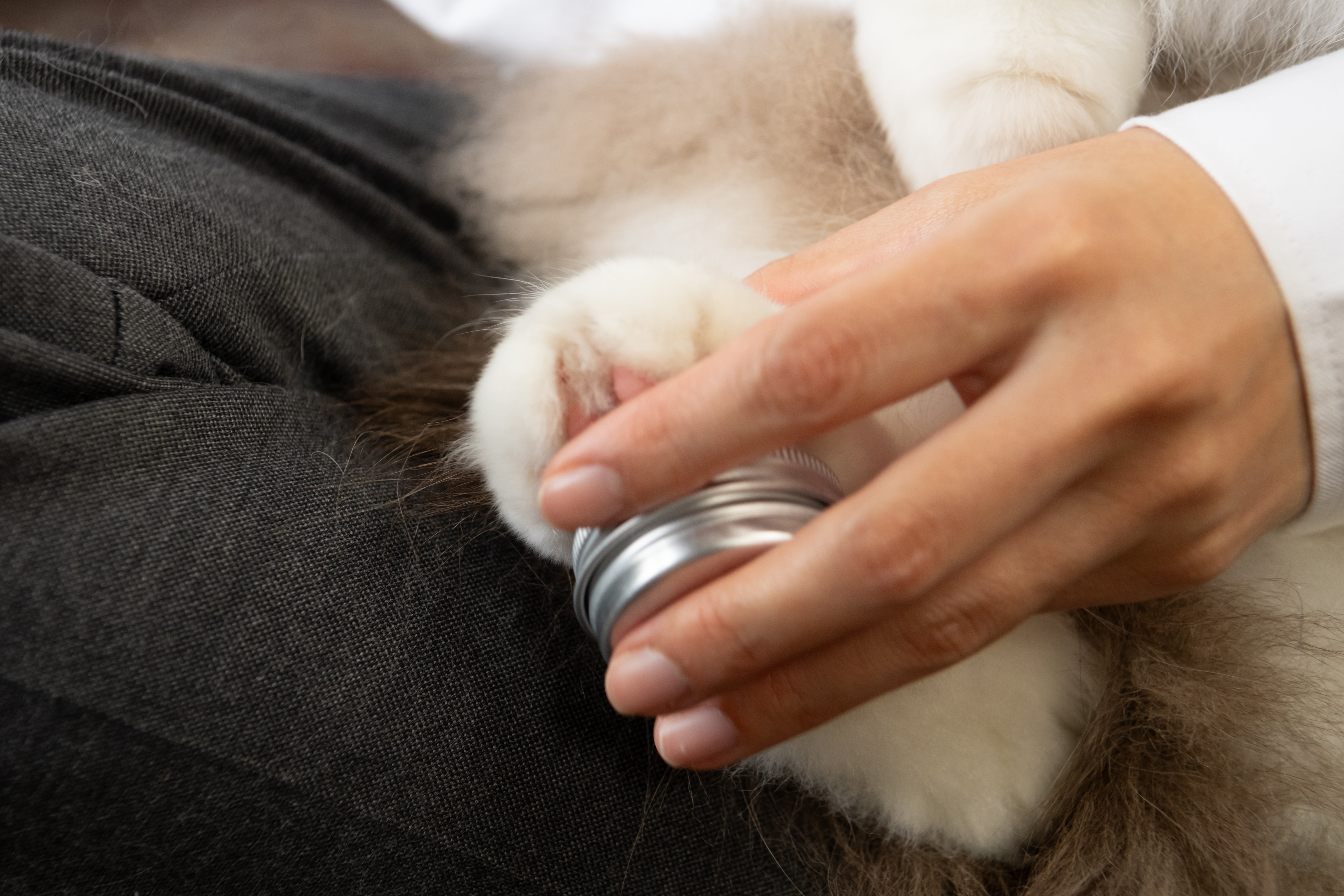 Handmade Nose-Print Silver Necklace (For Cats)
