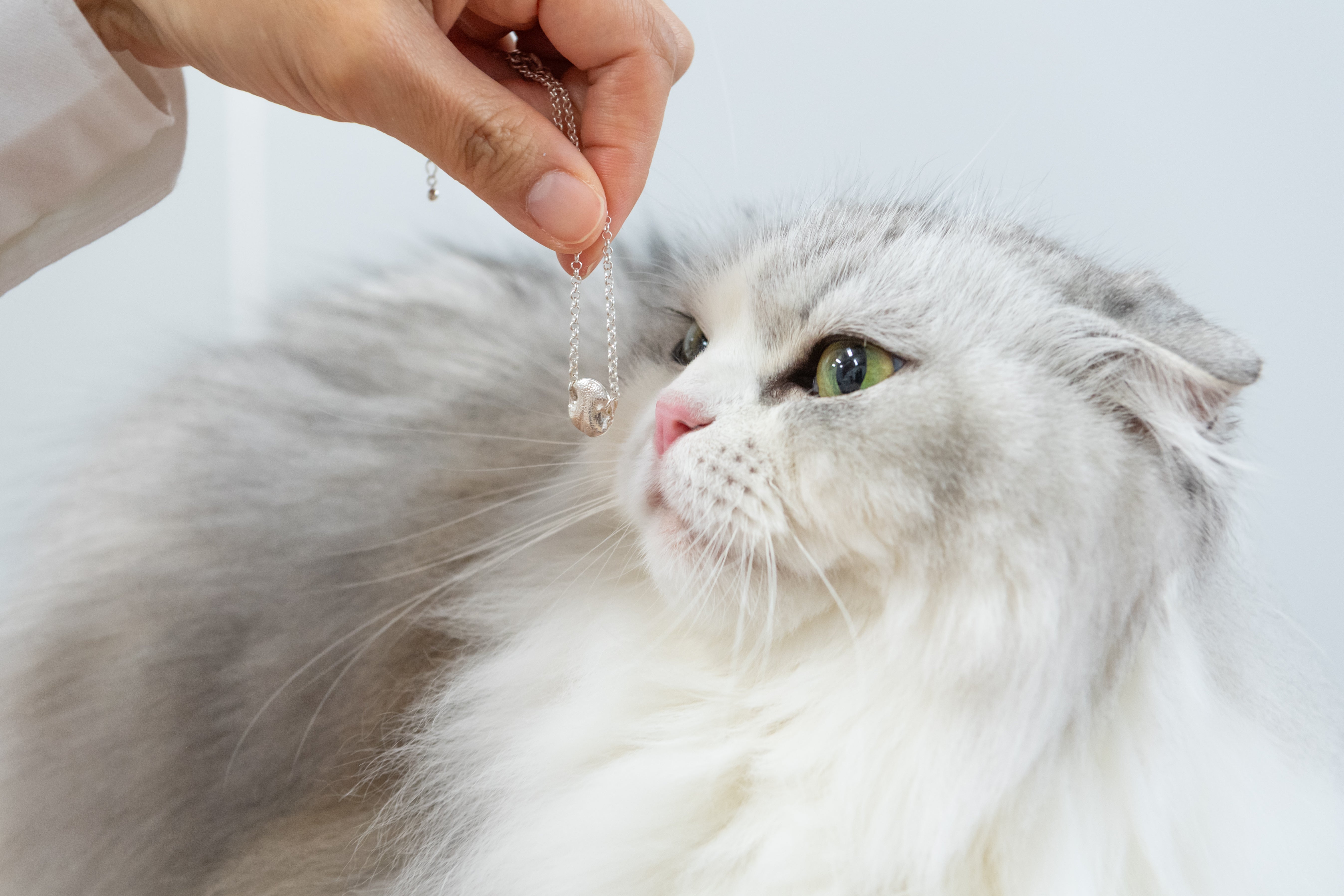 THE IMPRINT Necklace — Cat