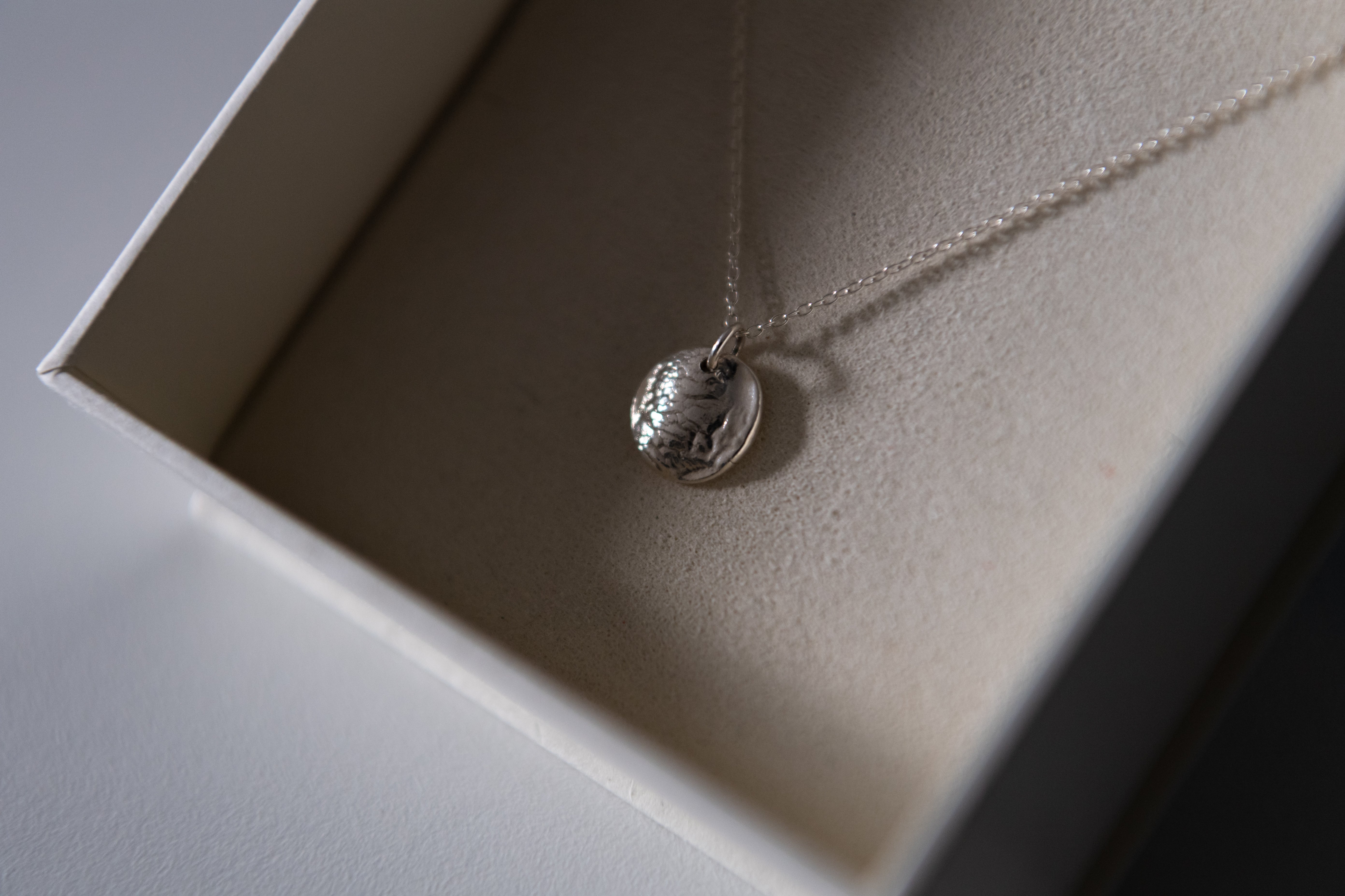Handmade Nose-Print Silver Necklace (For Cats)