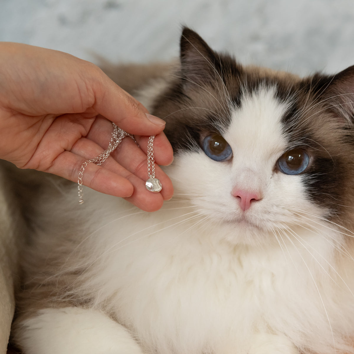 猫の鼻紋ネックレス｜愛猫の鼻紋を刻むシルバーペンダント｜PETIT MUSEAU